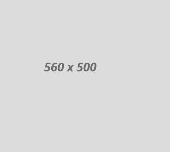 services06